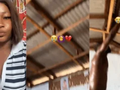 GH guy removes T&G ceiling she made for lady after breakup