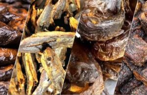 Vayo Gh Strengthens Ghana’s Inland Fish Supply Chain With Premium Dried Fish From Oti Region