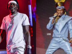 “Stonebwoy Just Want People To See Me As A Bad
